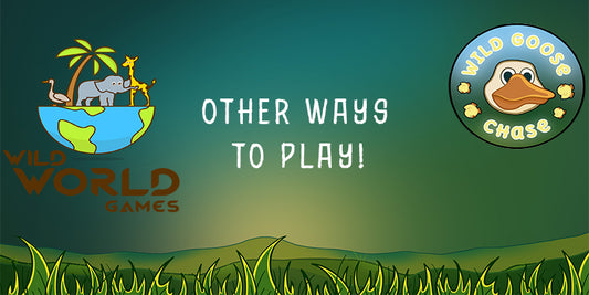 Other Ways To Play The Wild Goose Chase